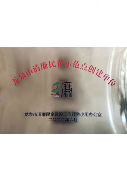 龍泉市清廉民企示范點創建單位